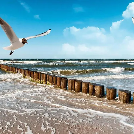 Home, Сasa de vacaciones *